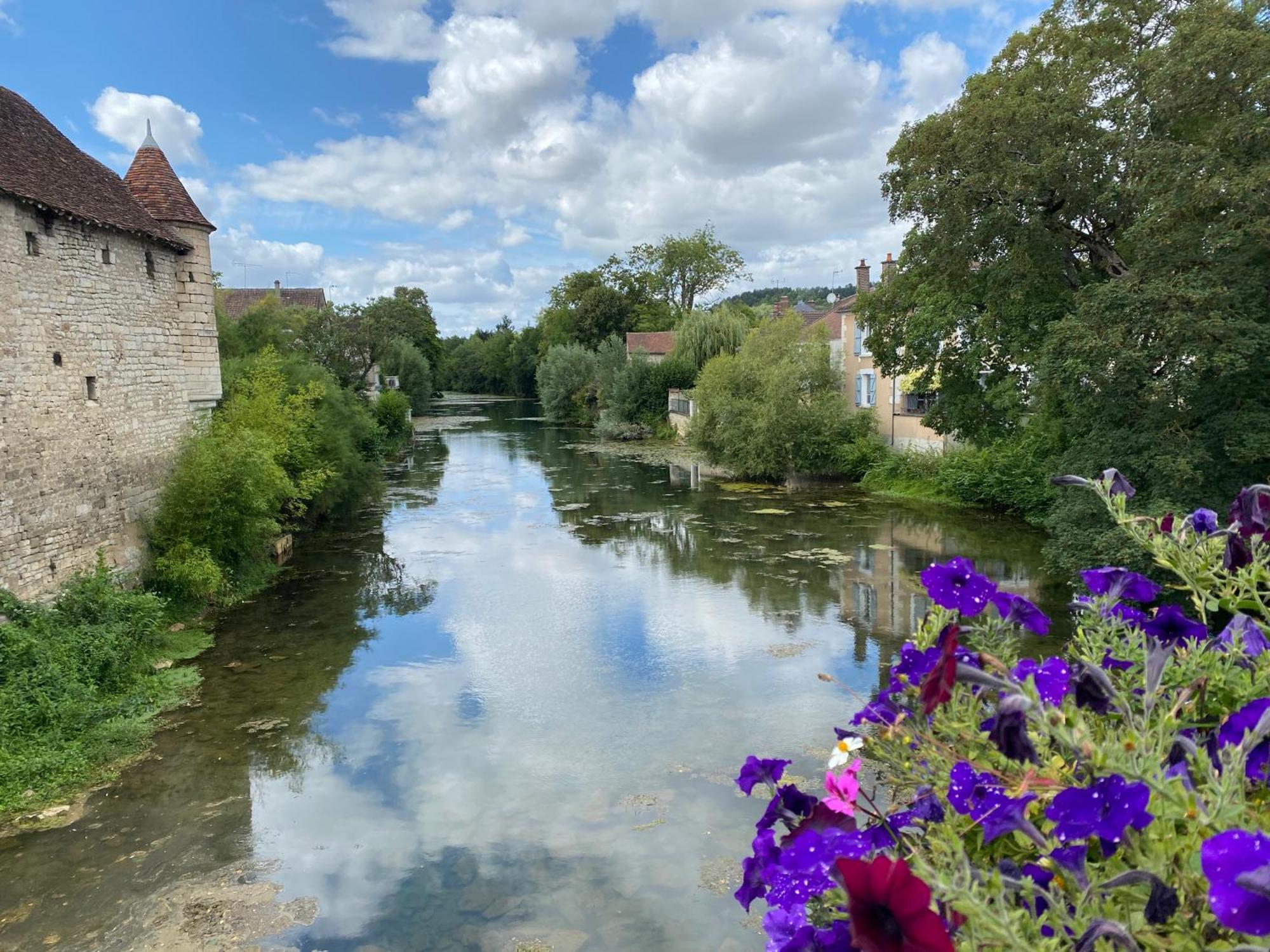 Le Merrain Gite Plein Coeur De Chablis Extérieur photo