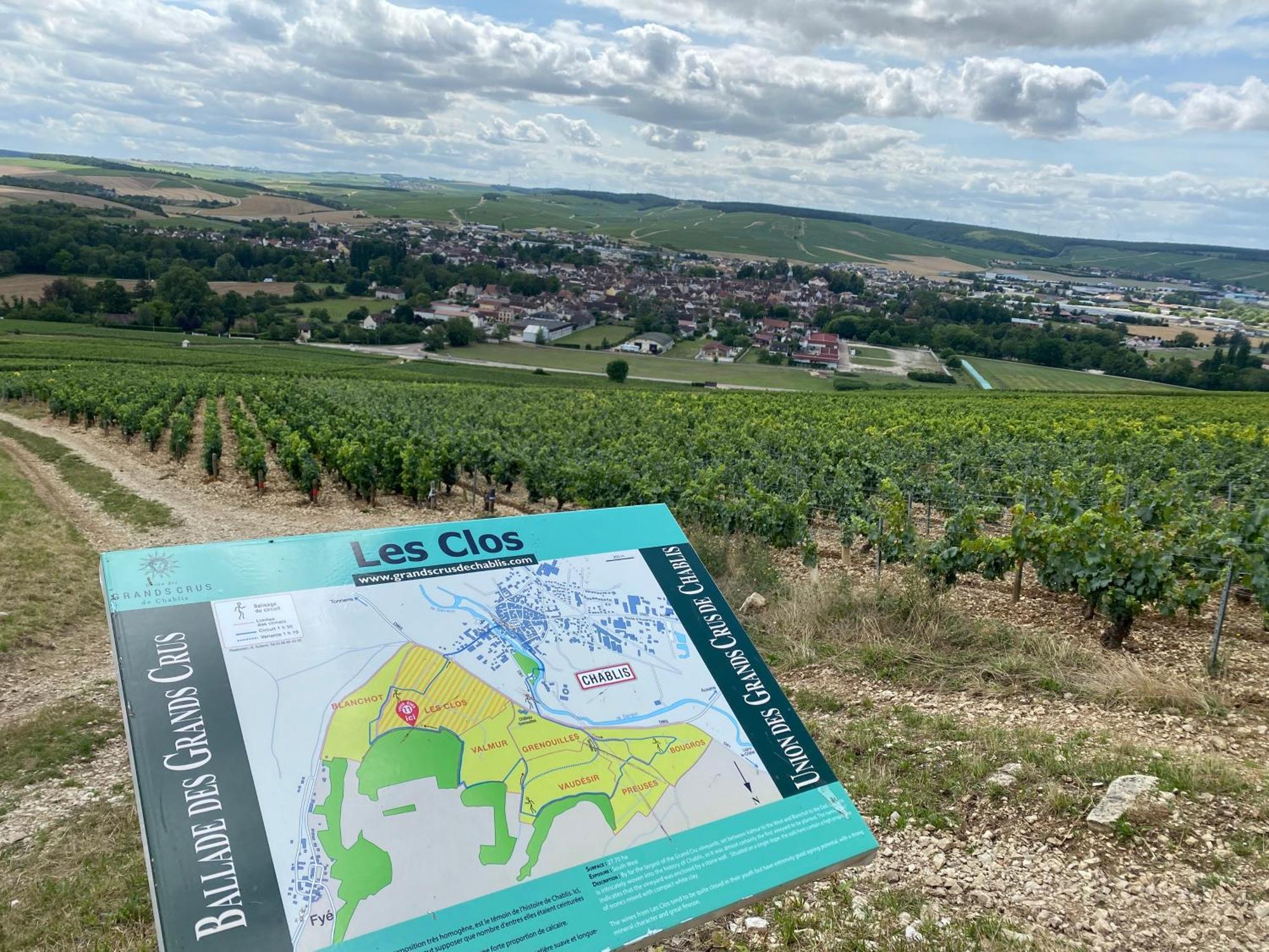 Le Merrain Gite Plein Coeur De Chablis Extérieur photo